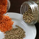 Quelles lentilles sont le plus de fer ?