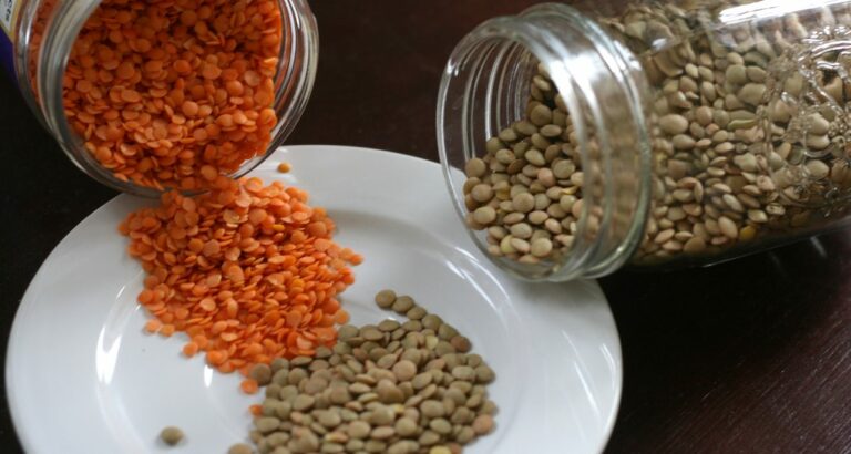 Quelles lentilles sont le plus de fer ?