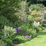 Quelles plantes pour faire un massif persistant ?