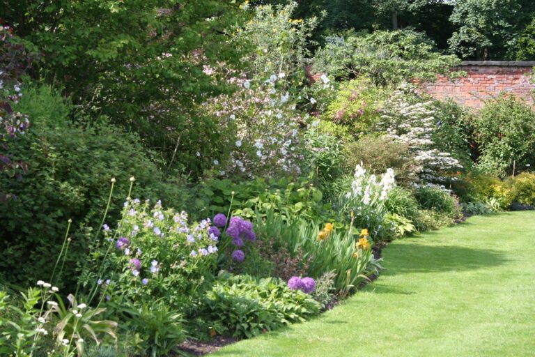 Quelles plantes pour faire un massif persistant ?