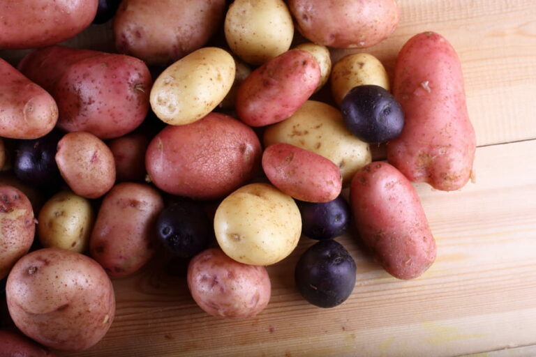 Quelles pommes pour quel usage ?