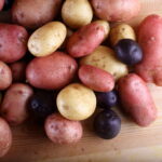 Quelles pommes pour quel usage ?