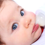 Quelles protéines pour bébé ?