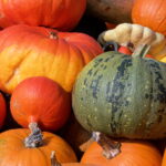 Quelles sont les courges toxiques ?