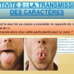 Quelles sont les différences entre les êtres humains ?