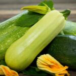 Quelles sont les différentes variétés de courgettes ?