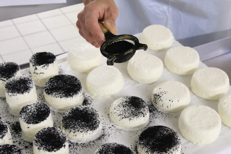 Quelles sont les étapes de fabrication du fromage ?