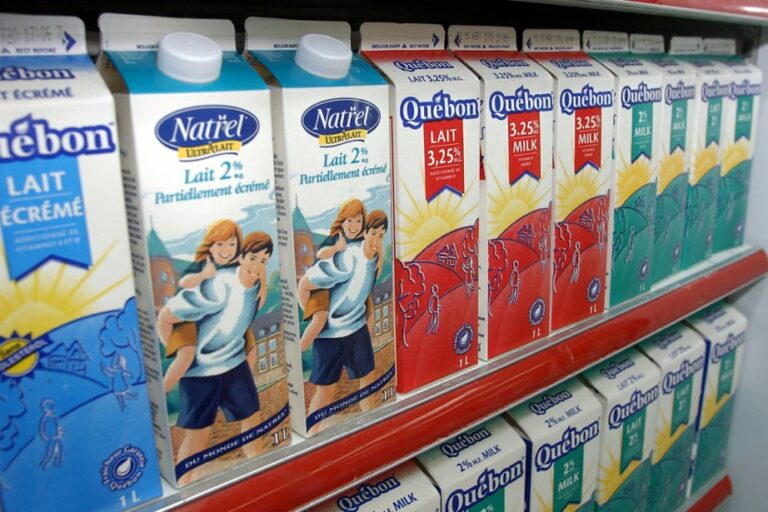Quelles sont les marques de lait québécois ?