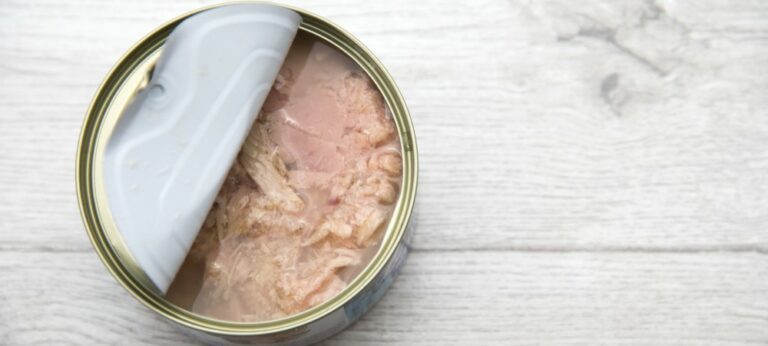 Quelles sont les meilleures marques de thon en boite ?