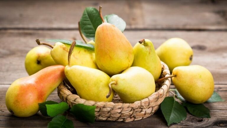 Quelles sont les meilleures poires à cuire ? Quelles sont les meilleures poires à cuire ?