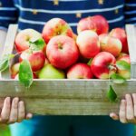 Quelles sont les meilleures pommes pour la santé ?