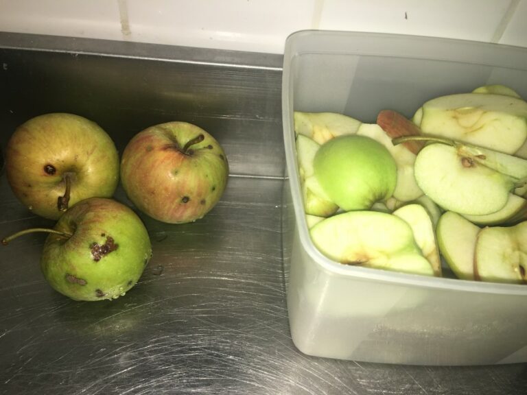 Quelles sont les pommes les moins traitées ?