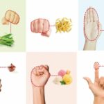 Quelles sont les portions alimentaires ?