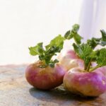 Quelles sont les propriétés du navet boule d'or ?