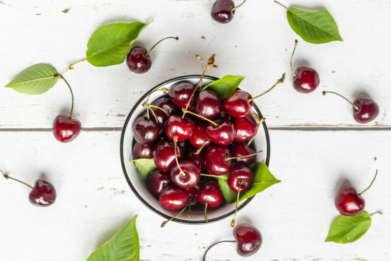 Quelles sont les vertus de la queue de cerise ? Quelles sont les vertus de la queue de cerise ?