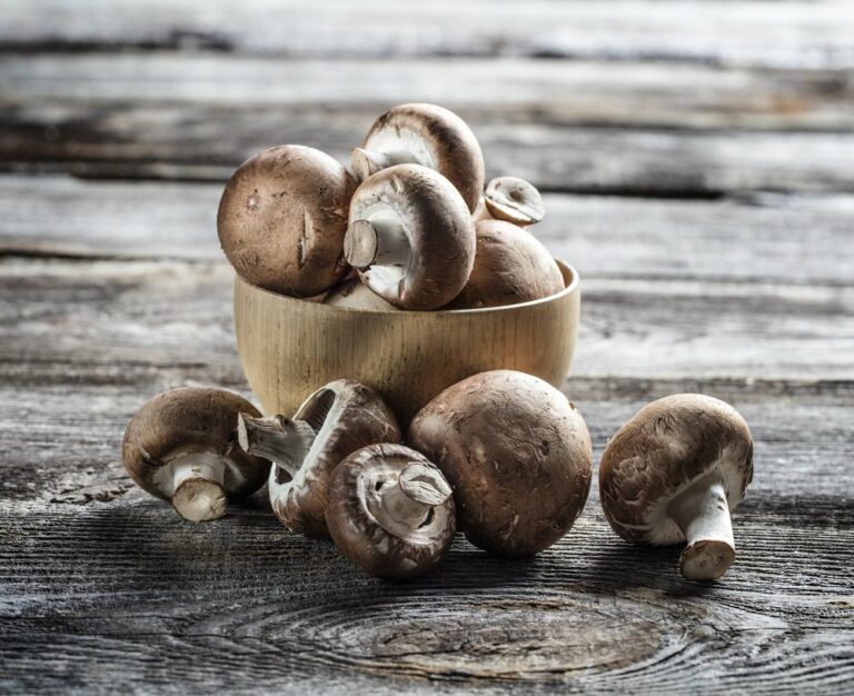 Quelles sont les vitamines des champignons de Paris ?