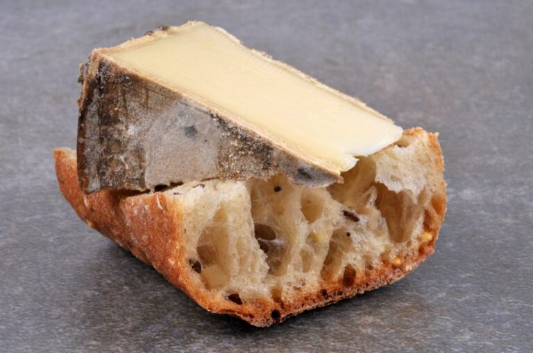 Quels fromages contiennent des probiotiques ? Quels fromages contiennent des probiotiques ?