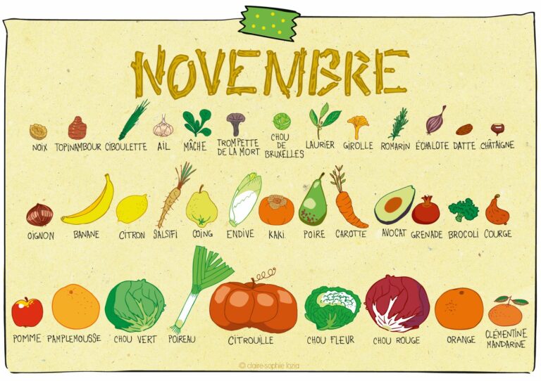 Quels fruits et légumes en novembre ? Quels fruits et légumes en novembre ?