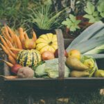 Quels légumes en automne ?