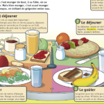 Quels sont les 3 repas de la journée ?