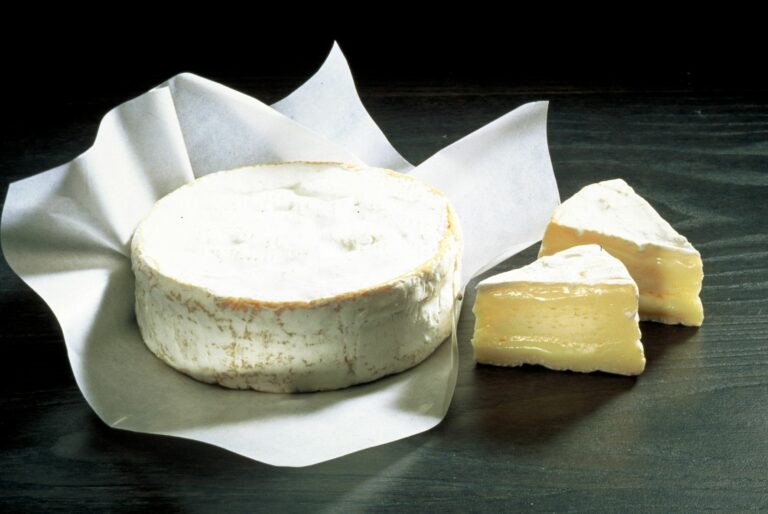 Quels Sont Les Camembert De Normandie 