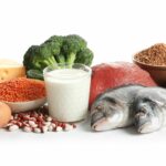 Quels sont les aliments équilibrée ?