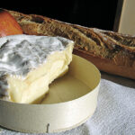 Quels sont les aliments les plus fermentés ?