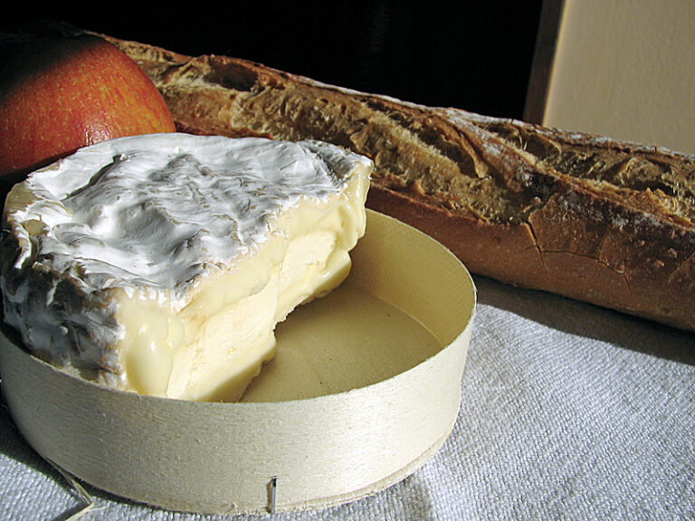 Quels sont les aliments les plus fermentés ?