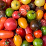 Quels sont les aliments nocifs pour les reins ?