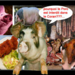 Quels sont les animaux halal ?