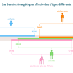 Quels sont les besoins énergétiques d'un adolescent ?