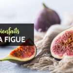 Quels sont les bienfaits de la figue fraîche ?
