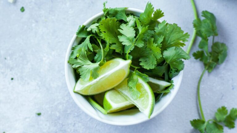 Quels sont les bienfaits de la myrte ?