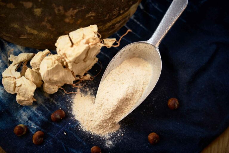 Quels sont les bienfaits de la poudre de cacao ? Quels sont les bienfaits de la poudre de cacao ?