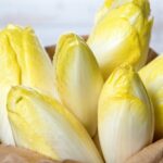 Quels sont les bienfaits de l'endive cuite ?
