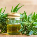 Quels sont les bienfaits de l'épeautre ?