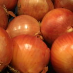 Quels sont les bienfaits de l'oignon cru ?