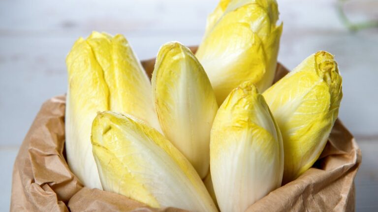 Quels sont les bienfaits des endives crues ?