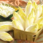 Quels sont les bienfaits des endives cuites ?