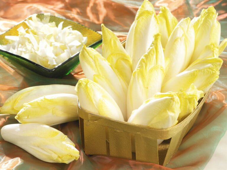 Quels sont les bienfaits des endives cuites ?