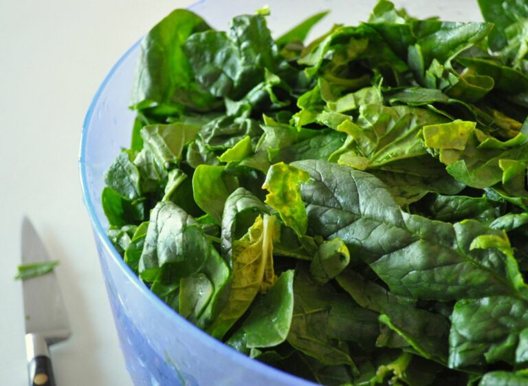Quels sont les bienfaits des pousses d’épinards ? Quels sont les bienfaits des pousses d'épinards ?