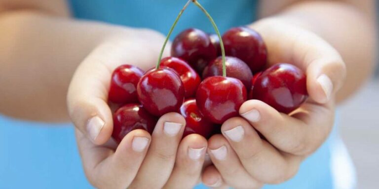 Quels sont les bienfaits du jus de cerise ? Quels sont les bienfaits du jus de cerise ?