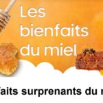Quels sont les bienfaits du miel pour la santé ?
