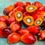 Quels sont les dangers de l'huile de palme ?