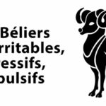 Quels sont les défauts du bélier ?