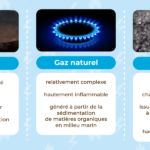 Quels sont les différents types d'animaux ?