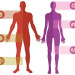 Quels sont les effets du Coca sur le corps ?