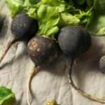 Quels sont les effets indésirables du radis noir ?