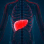 Quels sont les ennemis du foie ?