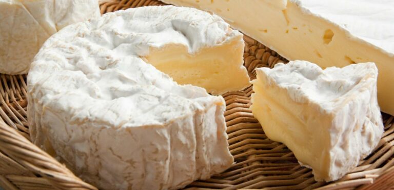 Quels sont les fromages à éviter ? Quels sont les fromages à éviter ?